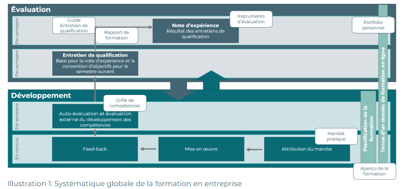 Formation