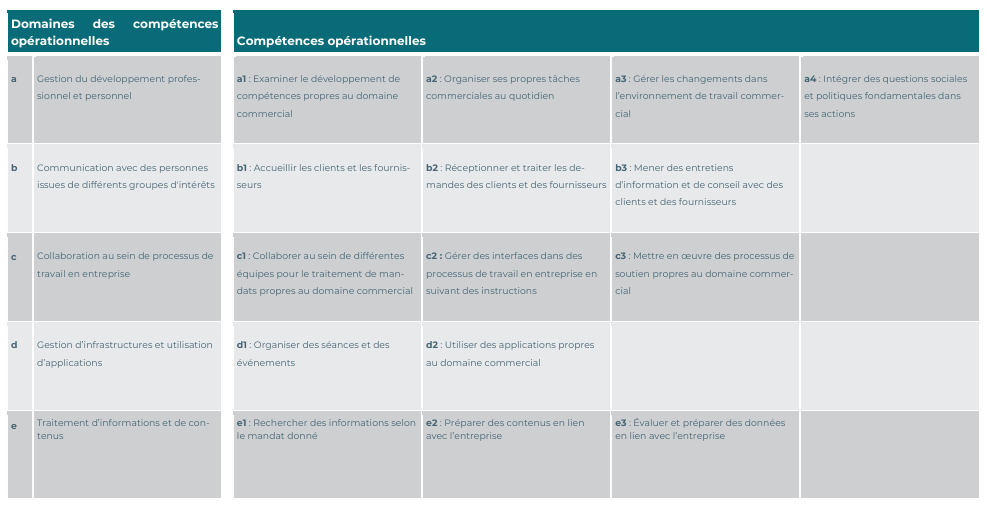 Vue_Ensemble_Competences_Operationnelles